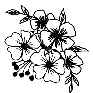 Kwiaty 13